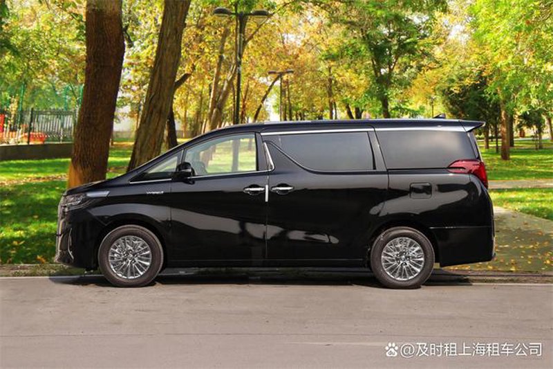 西双版纳包车游：解锁自由探索之旅